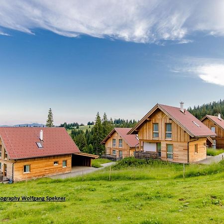 Beautiful Holiday Home In Weinebene With Sauna Posch Alpe Экстерьер фото
