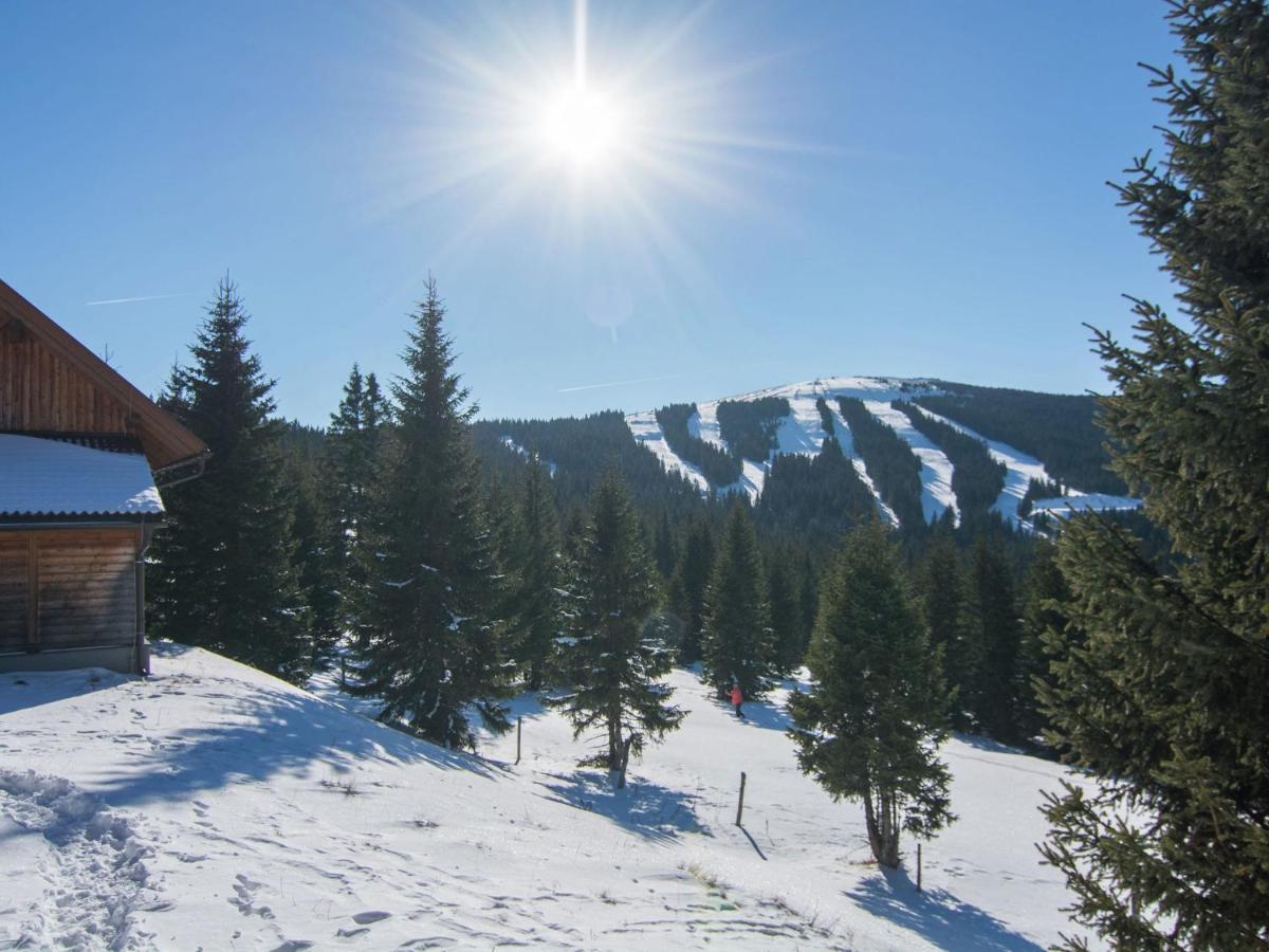 Beautiful Holiday Home In Weinebene With Sauna Posch Alpe Экстерьер фото