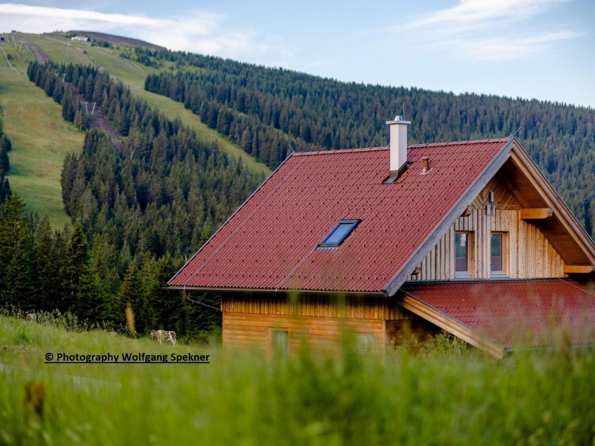 Beautiful Holiday Home In Weinebene With Sauna Posch Alpe Экстерьер фото