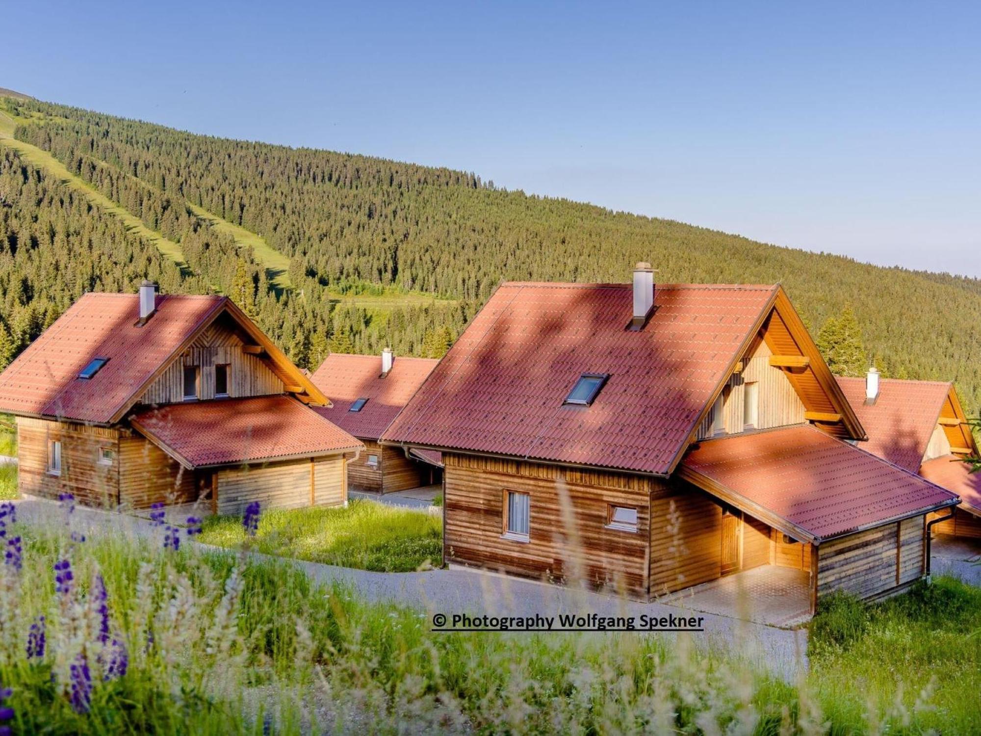 Beautiful Holiday Home In Weinebene With Sauna Posch Alpe Экстерьер фото