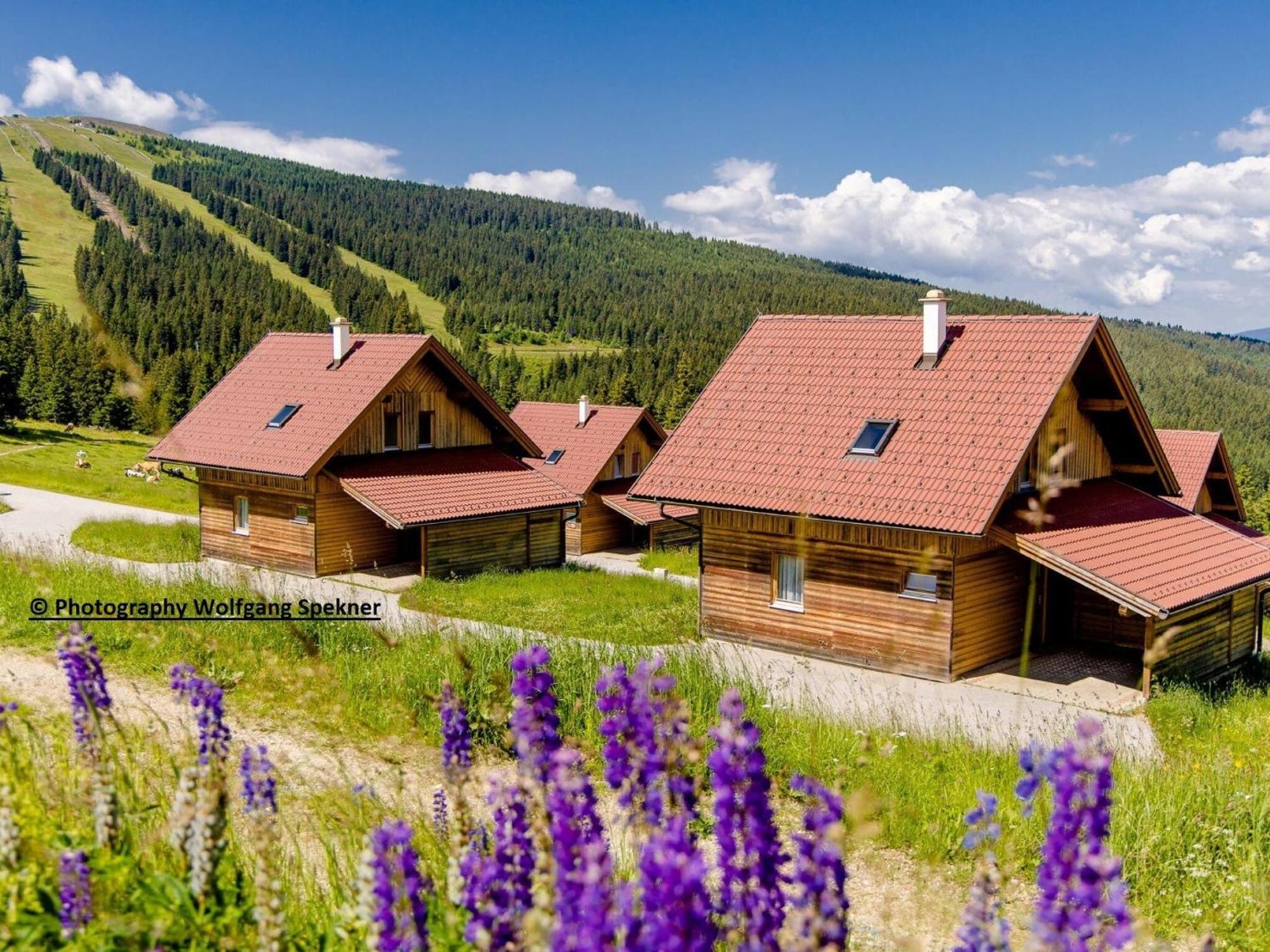 Beautiful Holiday Home In Weinebene With Sauna Posch Alpe Экстерьер фото