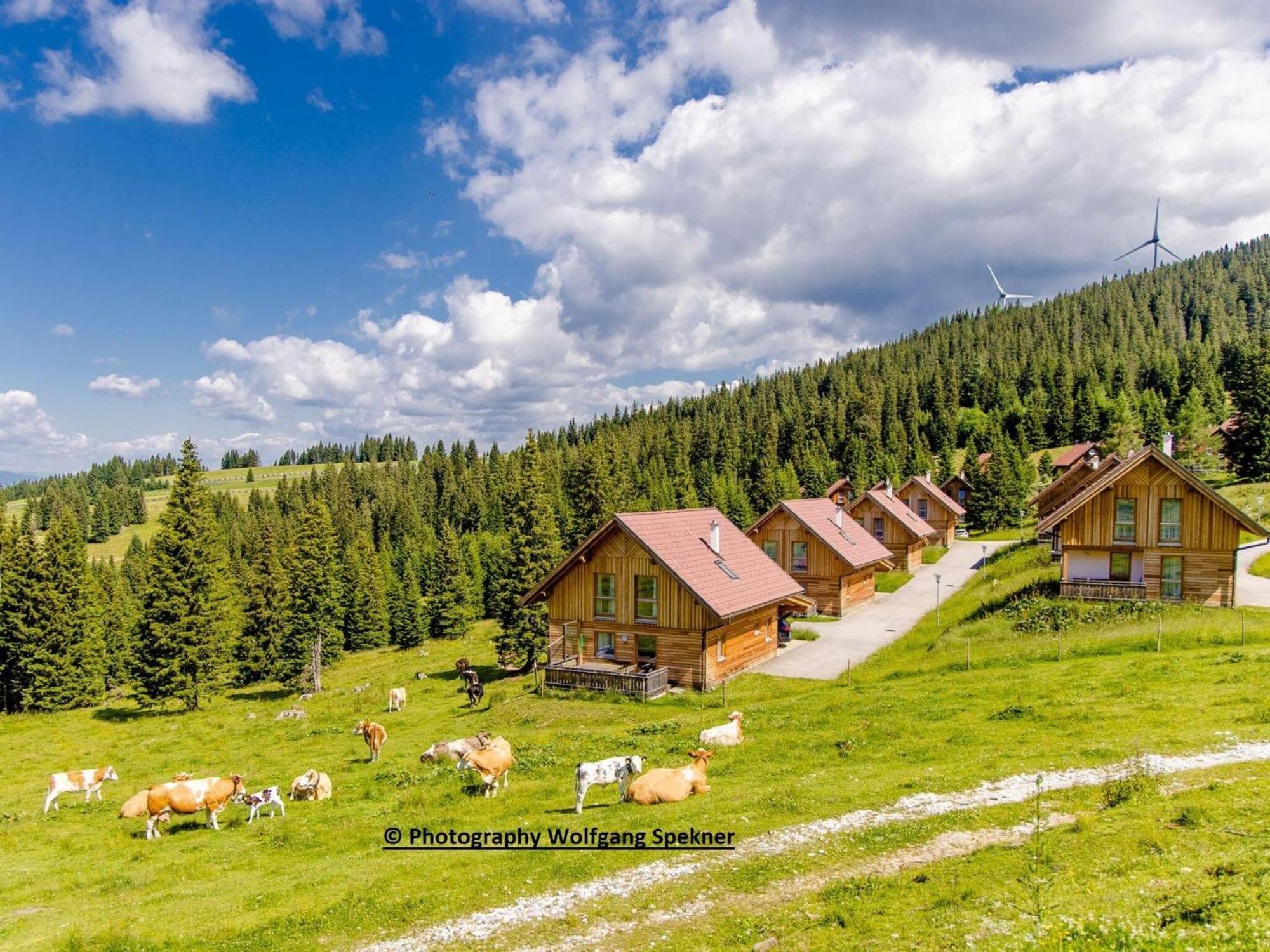 Beautiful Holiday Home In Weinebene With Sauna Posch Alpe Экстерьер фото
