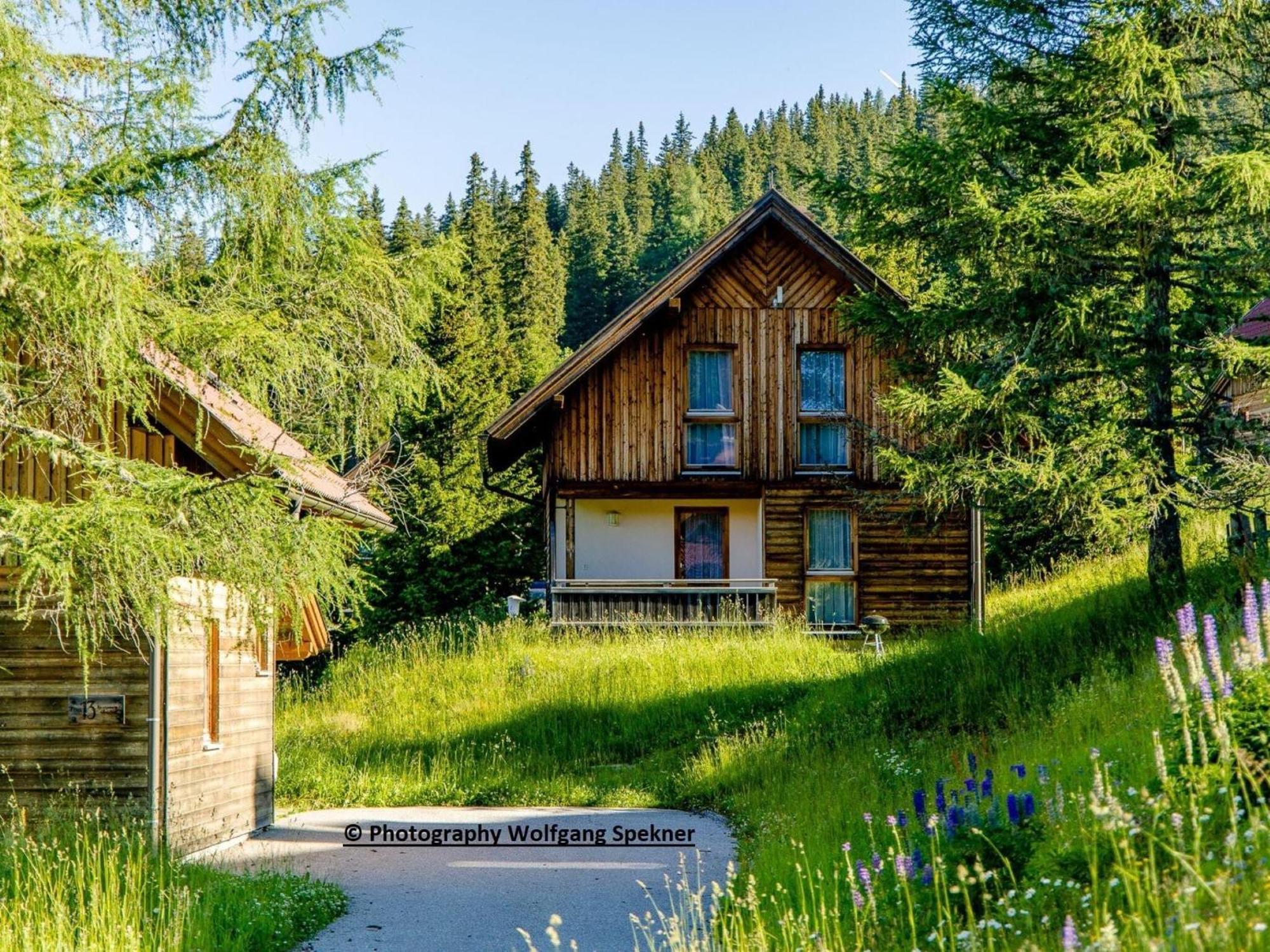 Beautiful Holiday Home In Weinebene With Sauna Posch Alpe Экстерьер фото